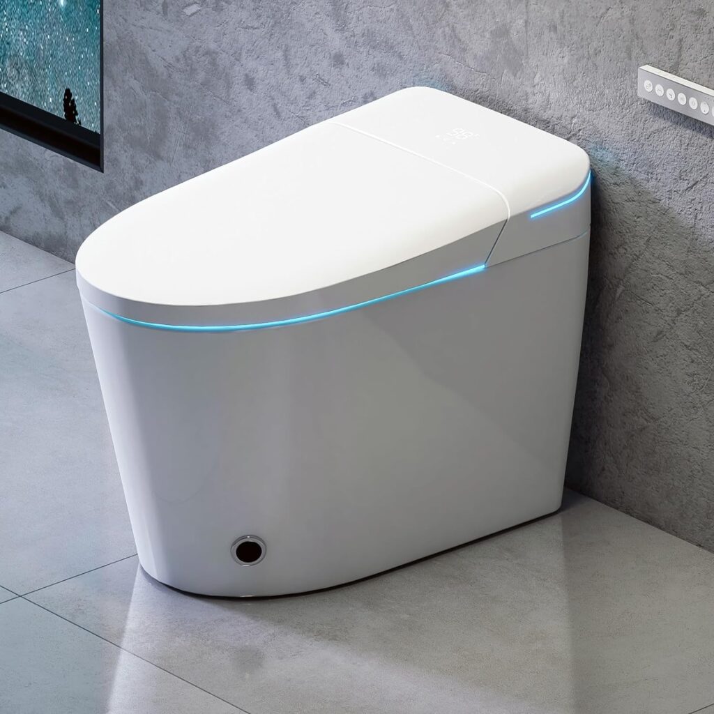 Smart Bidet Toilet