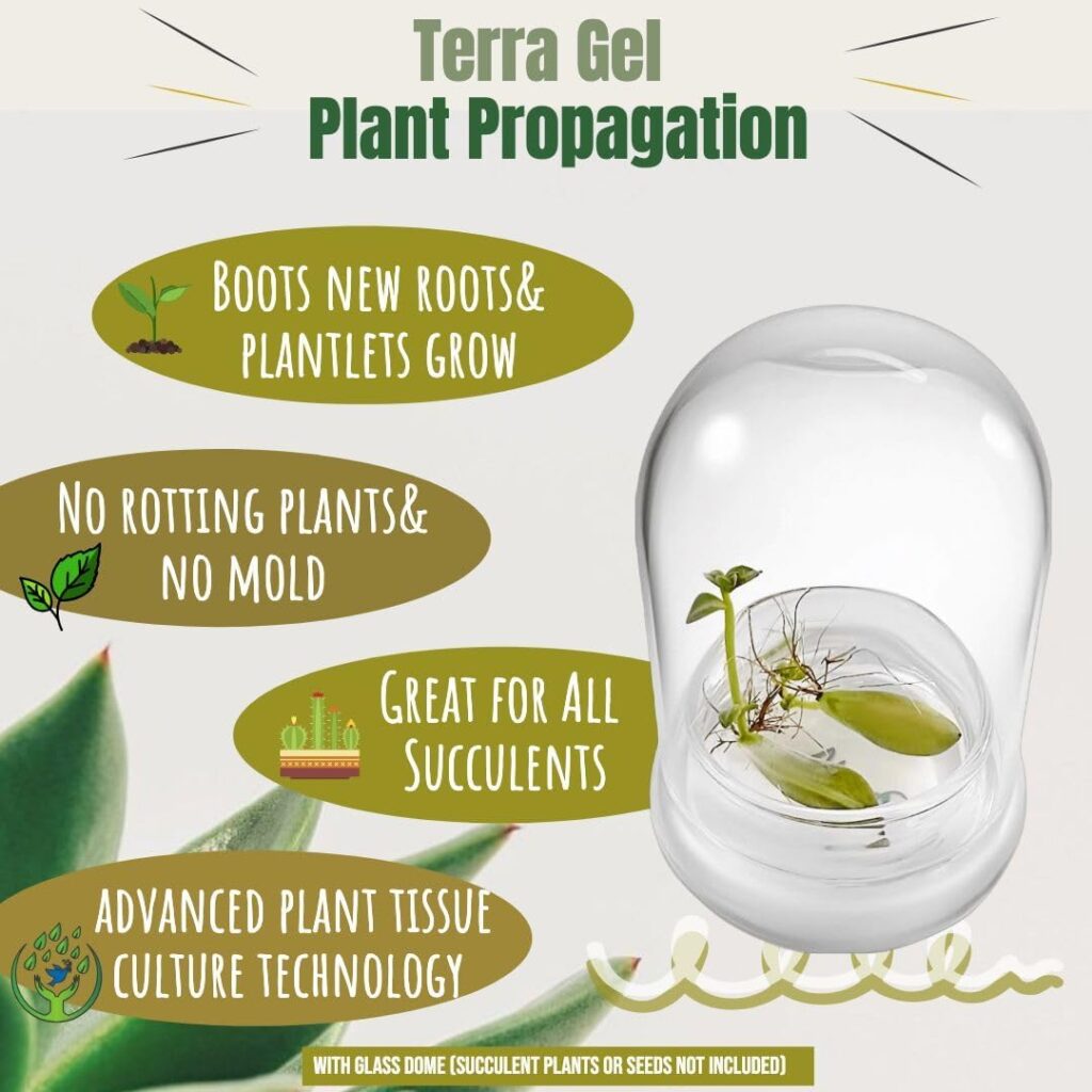 Propagation Kit by Bloomscape